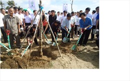 Lễ trồng cây “Quỹ 1 triệu cây xanh cho Việt Nam” tại Bến Tre